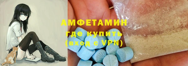индика Бородино