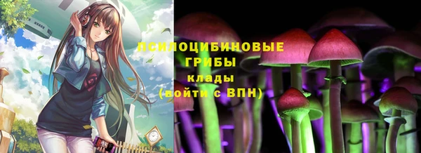 индика Бородино
