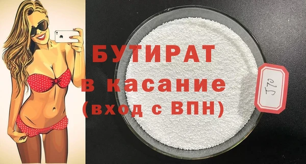 индика Бородино