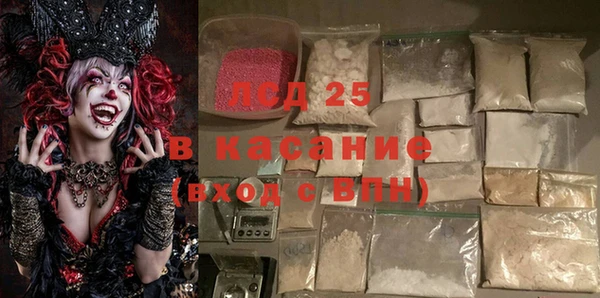 индика Бородино