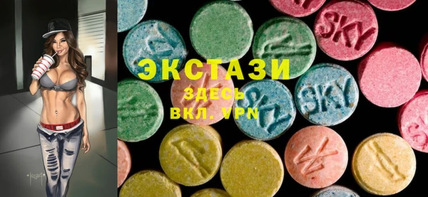 индика Бородино