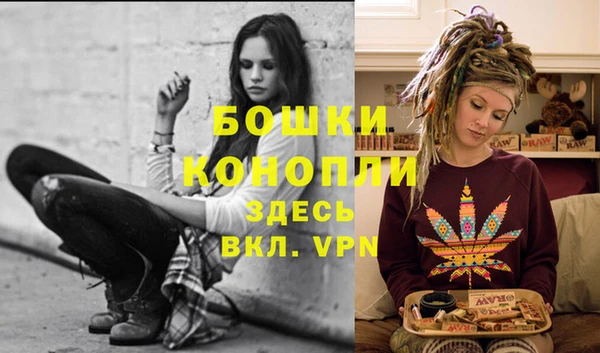 прущие грибы Волосово