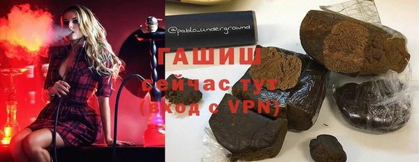 индика Бородино