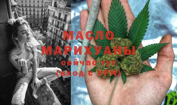 индика Бородино