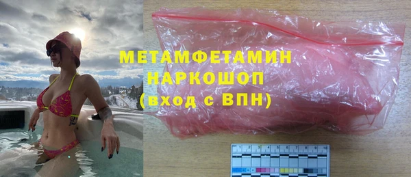 индика Бородино