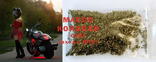 индика Бородино