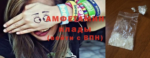 прущие грибы Волосово